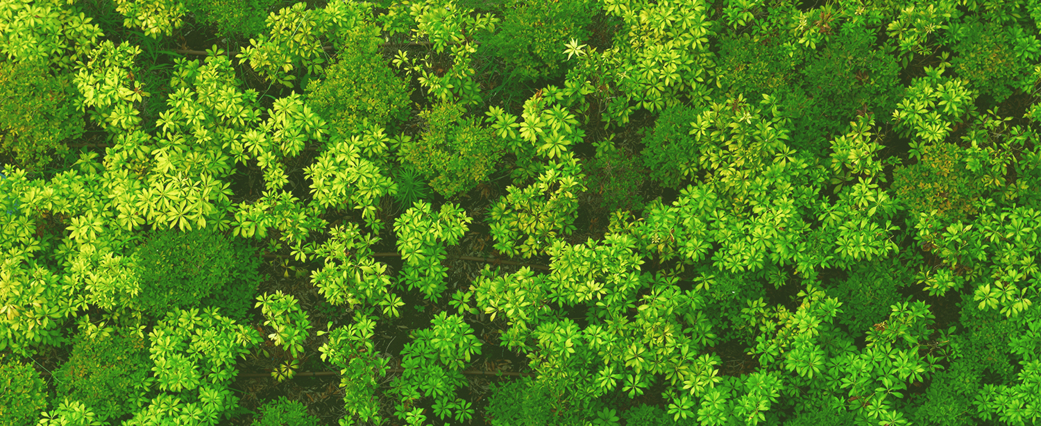 Eco-Friendly Management